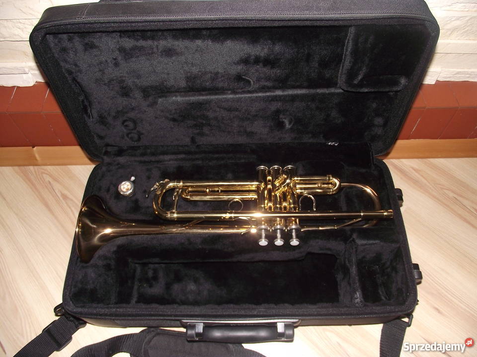 sprzedam trąbke