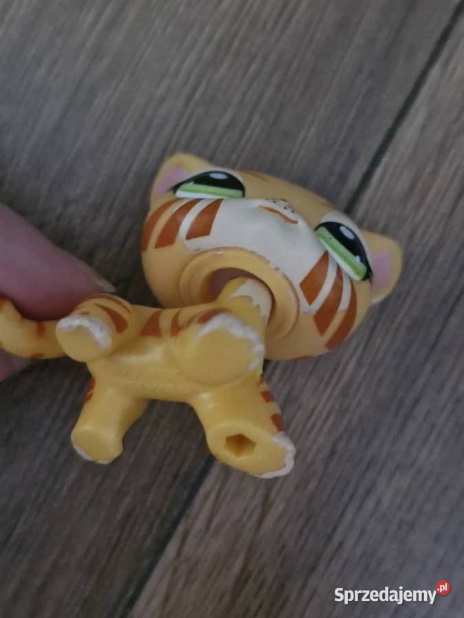Kotek tygrysek pet shop Plastik  Figurki Starogard Gdański