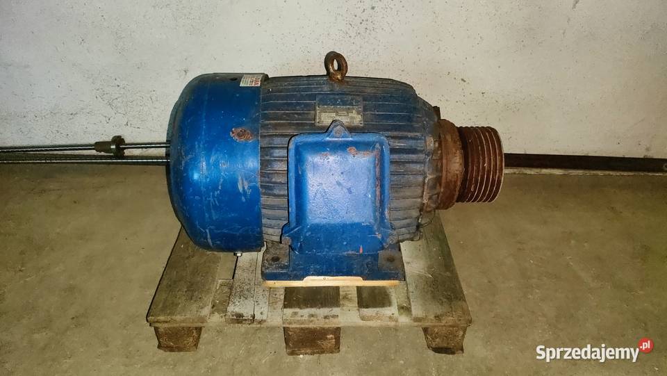 Silnik elektryczny 45kw 2960obrmin CELMA Suchedniów