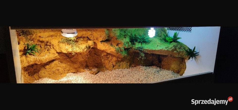 Terrarium Egzo Systems gekona lamparciego żółwia Akcesoria dla zwierząt Zawiercie