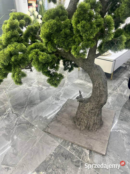Sztuczne drzewko Bonsai Premium 165x90x200 Sztuczne kwiaty i owoce