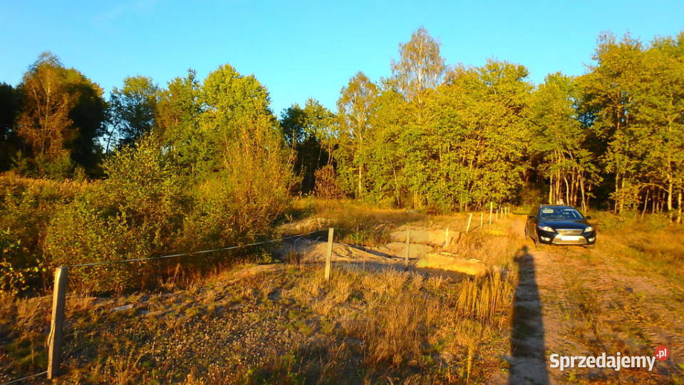 Działka budowlana w Niechnabrzu 77m mazowieckie Niechnabrz sprzedam