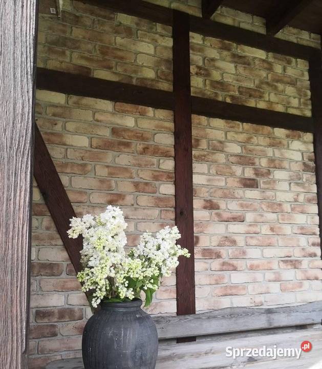 Płytki ze starej cegły lico cegły stylowe płytki Płytki ścienne Białystok sprzedam