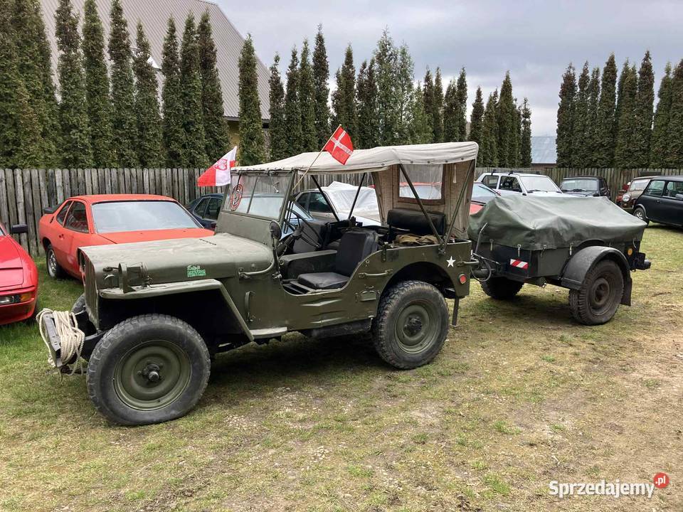 Jeep Hotchkiss Willys Gpw Mutt Rok produkcji 1950 Suwałki sprzedam