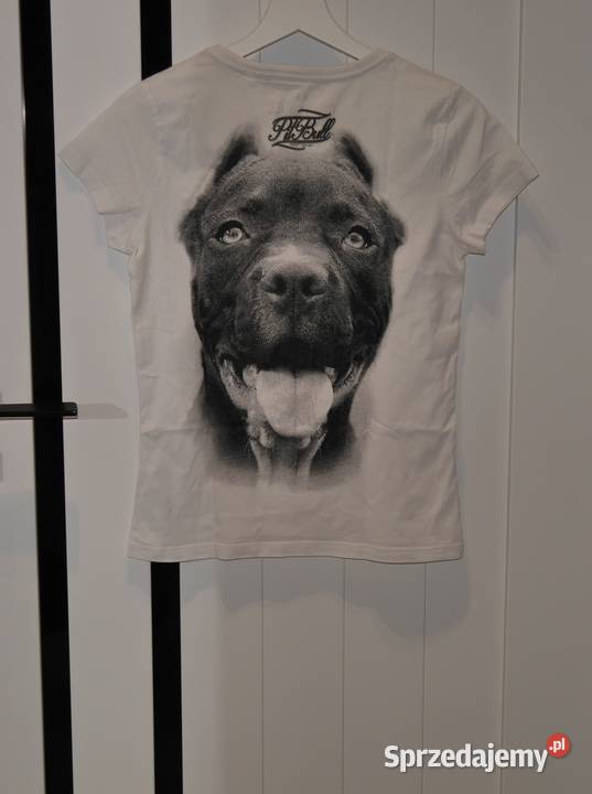 Pitbull rewelacyjna koszulka 34 XS dolnośląskie Wrocław