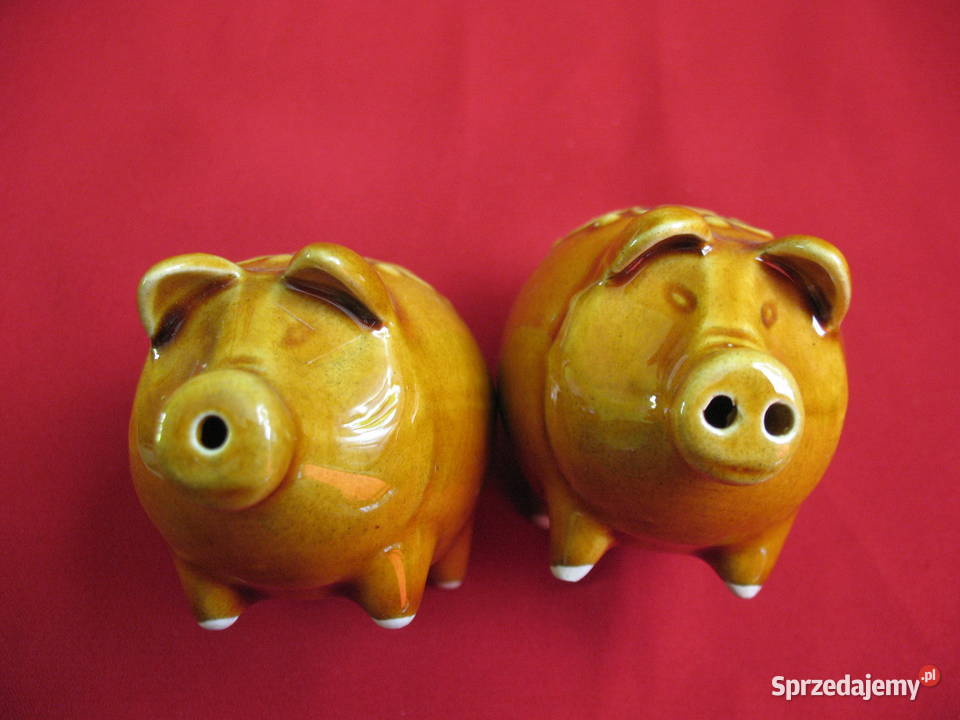 Sól i pieprz Świnki Solniczka i pieprzniczka sprzedam