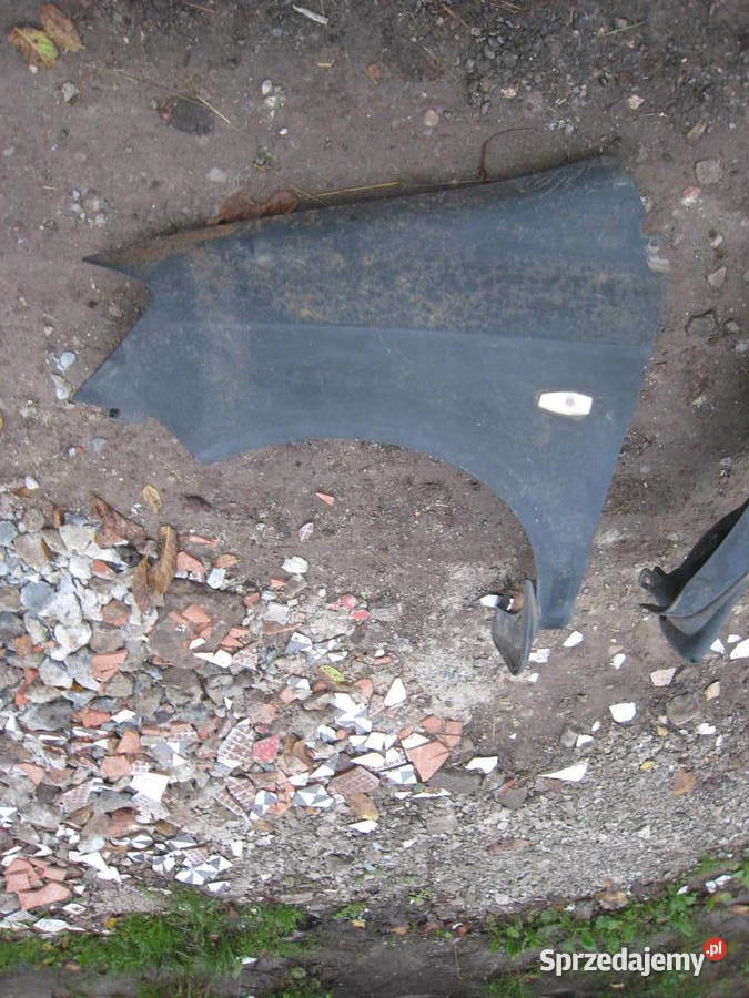 Błotnik lewy prawy Hyundai Getz przedlift 0205 małopolskie Kraków