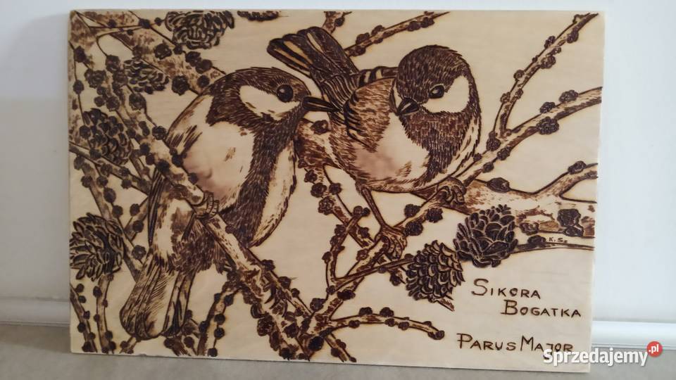 Obraz wypalany pirografia Bale