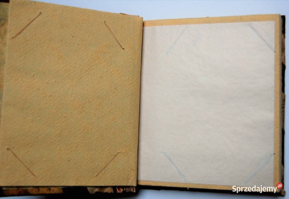 Album 20 foto naturalny botaniczny drewno lubelskie Lublin