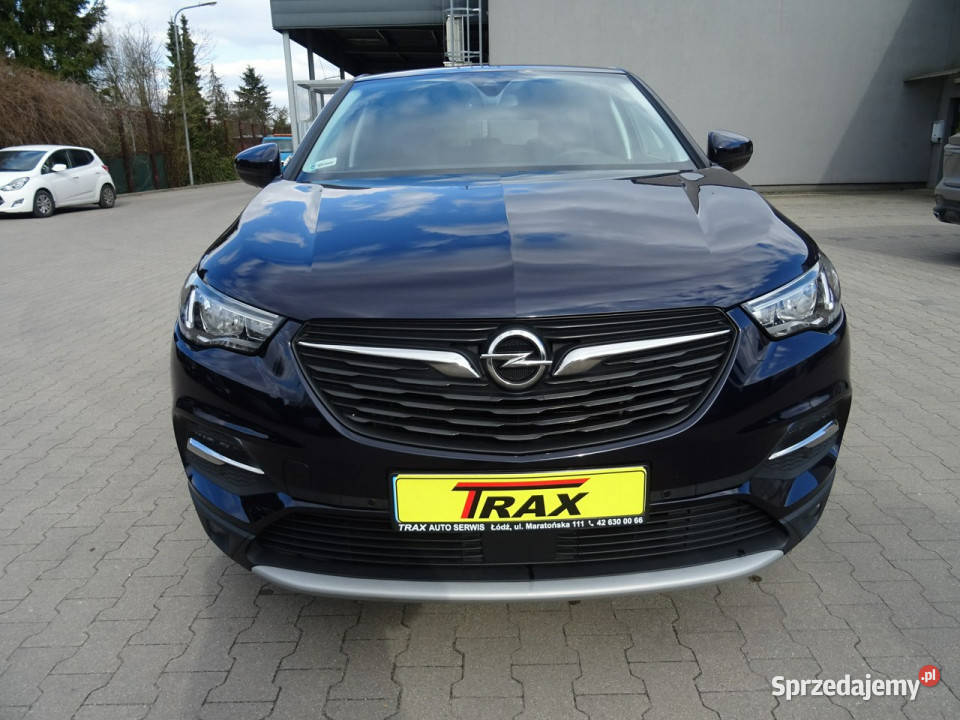 Opel Grandland X 12 130 Krajowy Serwisowany ASO czujnik martwego pola Łódź