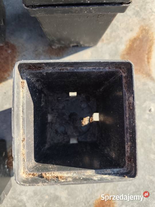 Doniczki do rozsad Dobrocice