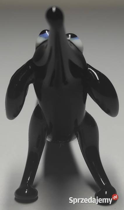 Szklany jamnik pies ze szkła czarny szkło Warszawa