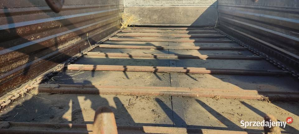 Rozrzutnik nieuszkodzony Stare Miasto