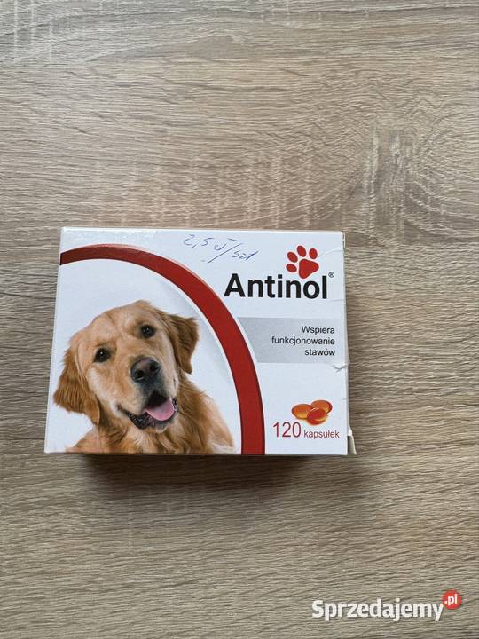 Antinol 120 kapsułek w opakowaniu Warszawa