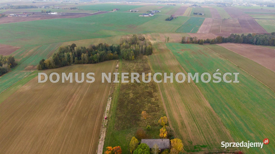 sprzedaży gruntu 3000m2 Jasień 55m łódzkie