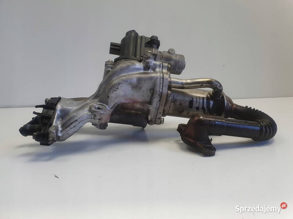 Renault Megane III 15 DCI CHŁODNICA SPALIN EGR osobowe Recyrkulacja spalin EGR Chełm sprzedam