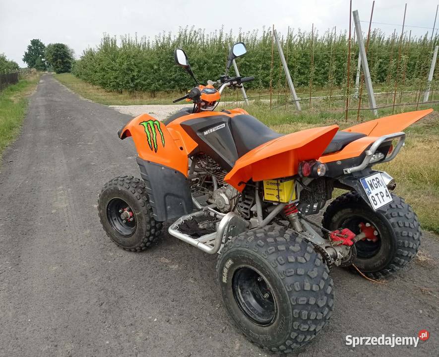 Adly 300xs