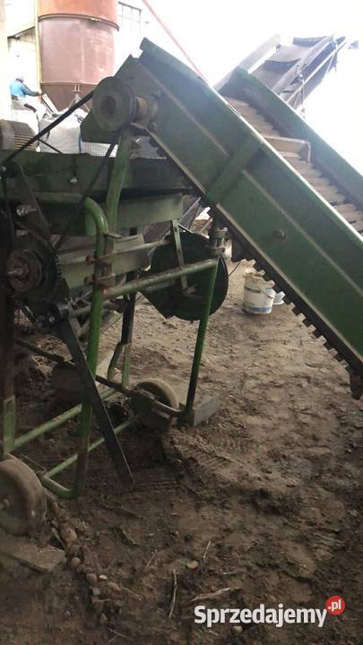 Sortownik ziemniaków Amazone BK 3 Rolnictwo Parczew