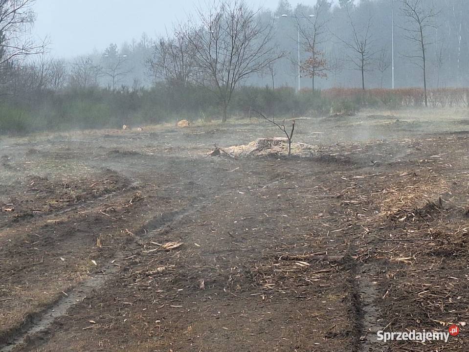 Wycinka drzew Czyszczenie działek Mulczowanie Myszków