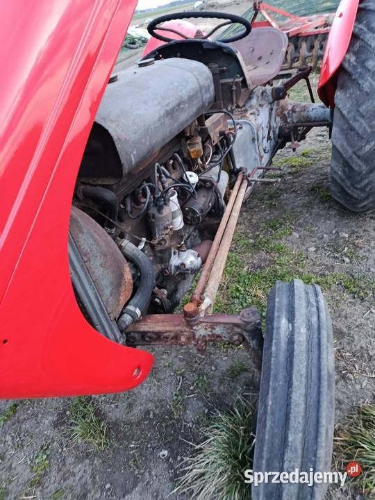 Ferguson tea 20 Kalisz