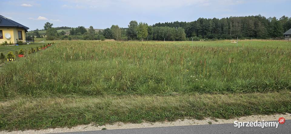 Udział 12 nieruchomości niezabudowanej Borowiec Sprzedaż świętokrzyskie Krasocin sprzedam