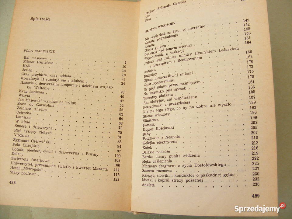 Stanisław Dygat Disneyland Na pięć minut przed