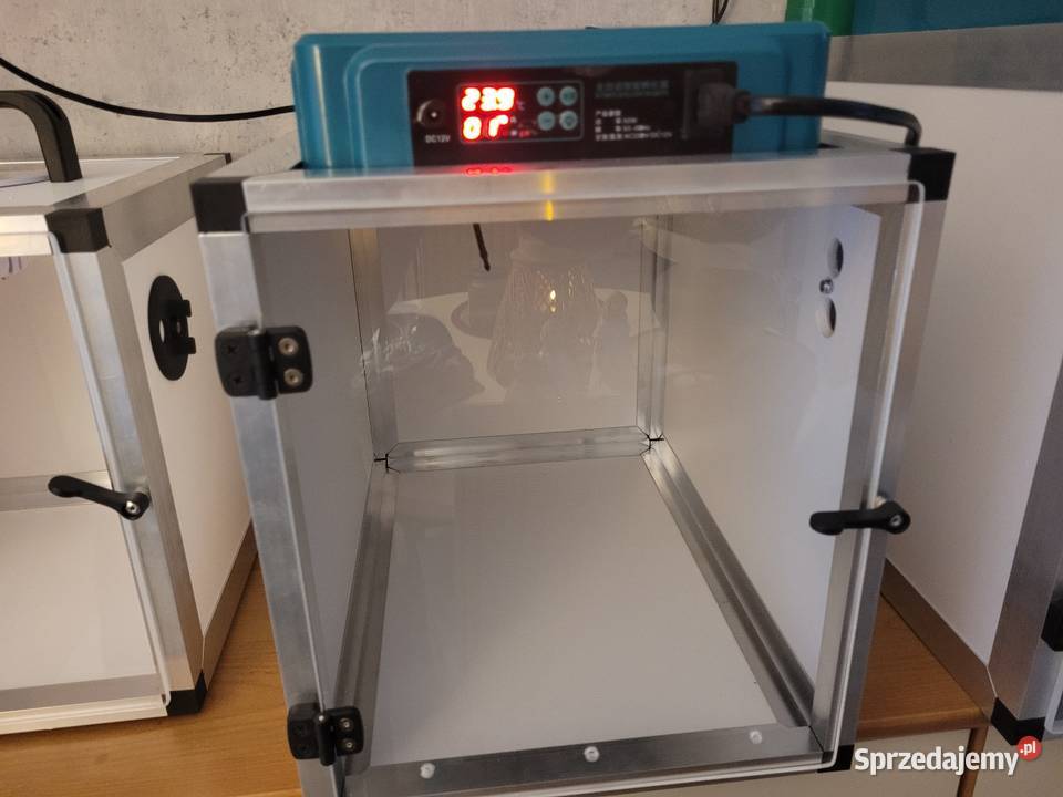 Odchowalnik papug Kościan