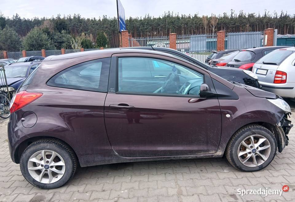 Ford KA z 2014 roku uszkodzony