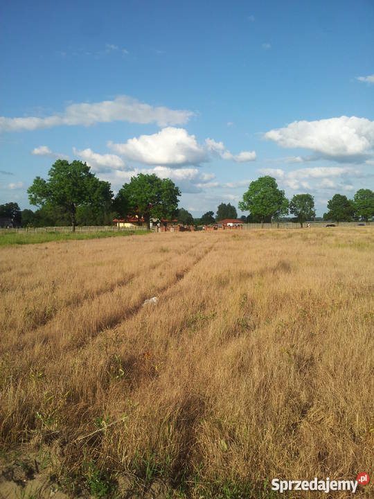 Działki budowlane w Witkowie koło Stargardu polna Nieruchomości zachodniopomorskie Witkowo Drugie