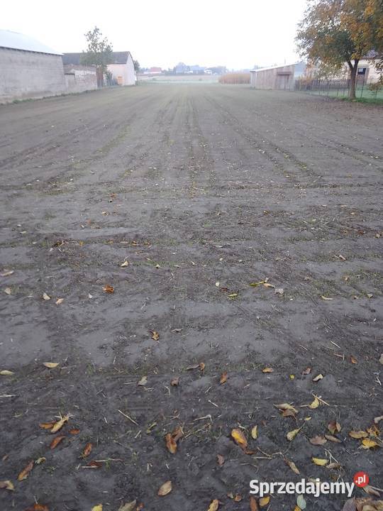 Działka rolno budowlana 3100 m2 Ługi-Rętki