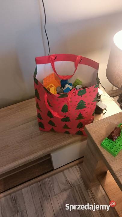 LEGO Duplo Klocki lubelskie Ryki