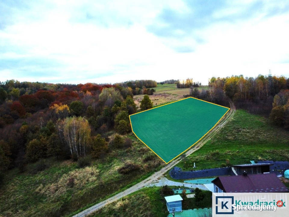 sprzedaży gruntu 7513m2 Nozdrzec sprzedam