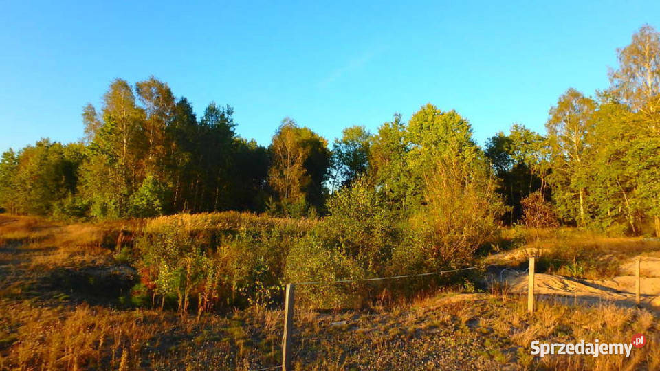 Działka budowlana w Niechnabrzu 77m Niechnabrz