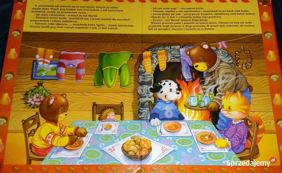 Przygody misia Maćka Justyna Święcicka Chełm sprzedam