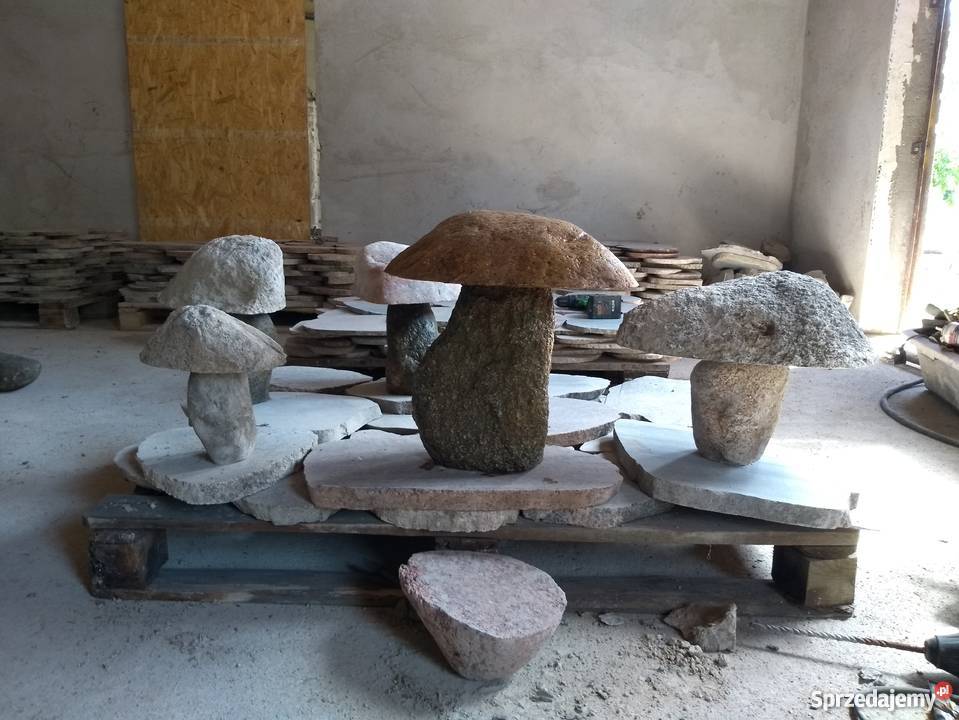 Grzyby z kamienia polnego Ruciane-Nida