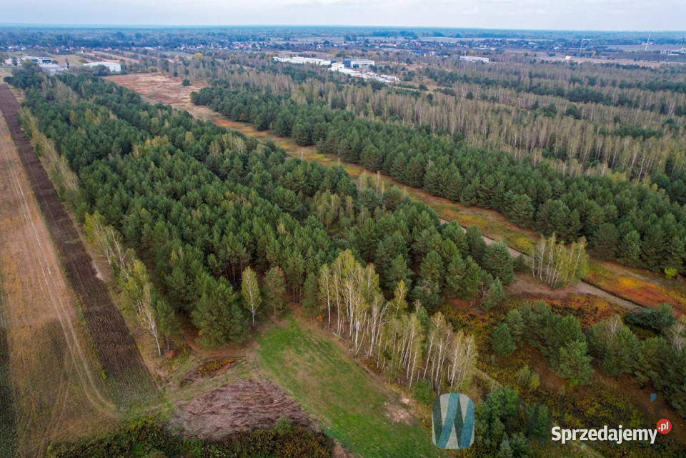 sprzedaży gruntu Czosnów 3000m2 sprzedam