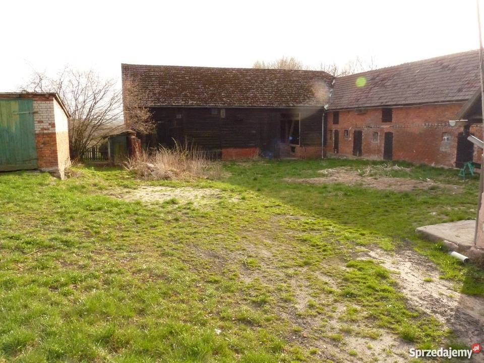 anio Gospodarstwo rolne Paprotki gm Malechowo Paprotki