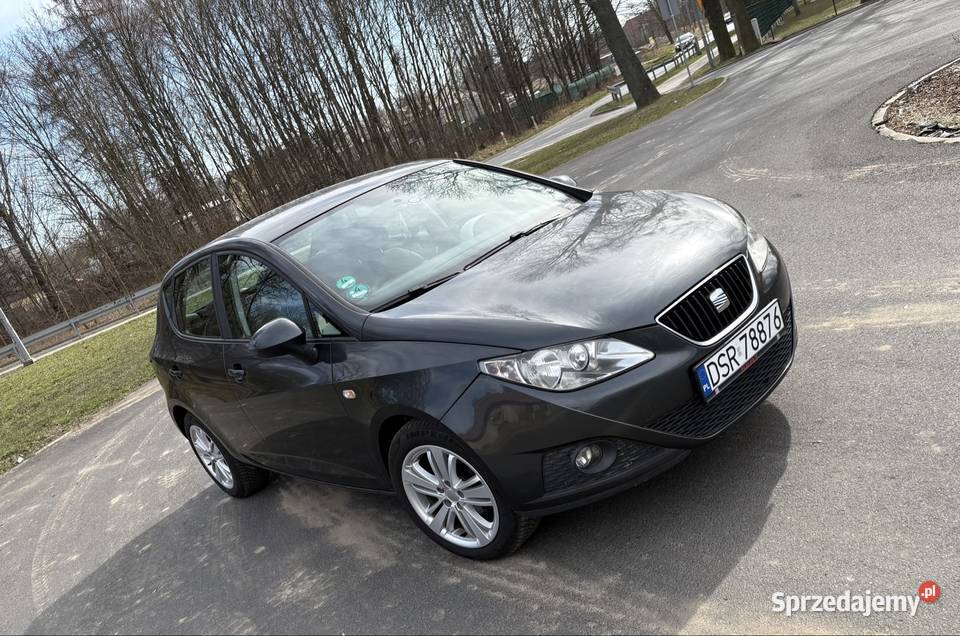 Seat Ibiza IV