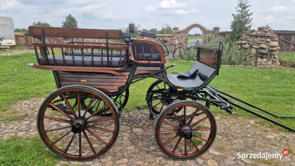 Powóz konny Bryczka Wagonetka na 1 i 2 konie Pozostałe
