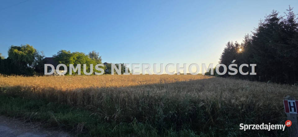sprzedaży gruntu 9800m2 Rogów prąd łódzkie sprzedam