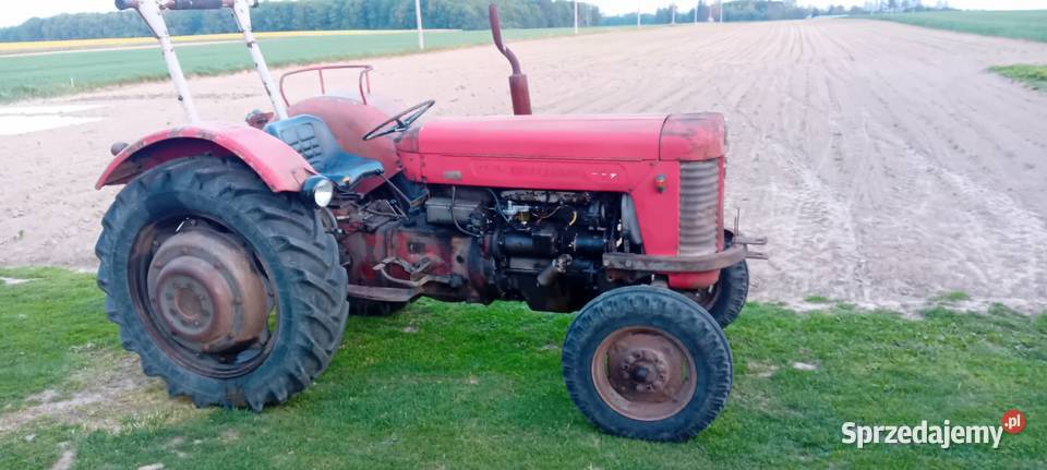Massei ferguson 65 Zamość