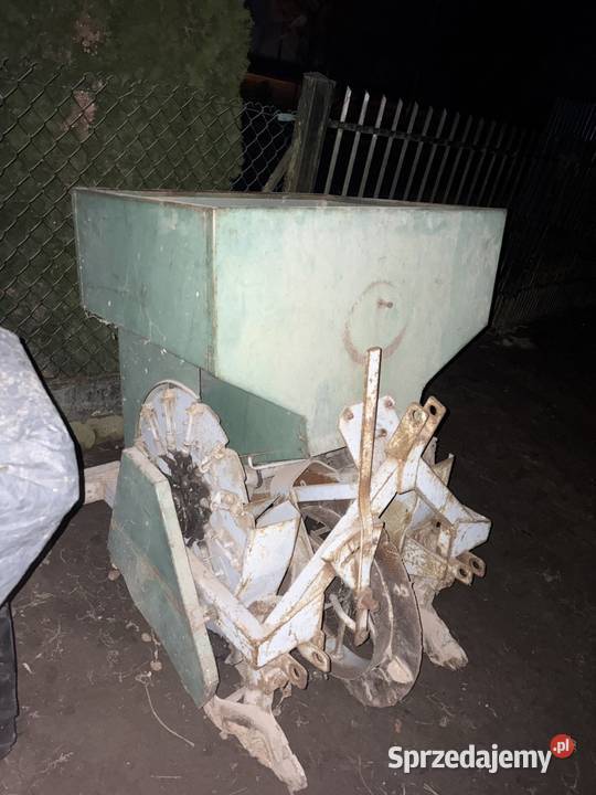 Sadzarka czeska łódzkie Czerniewice