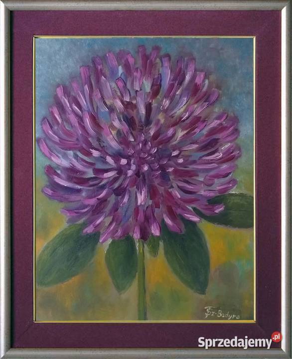 Obraz olejny Koniczyna Lublin sprzedam