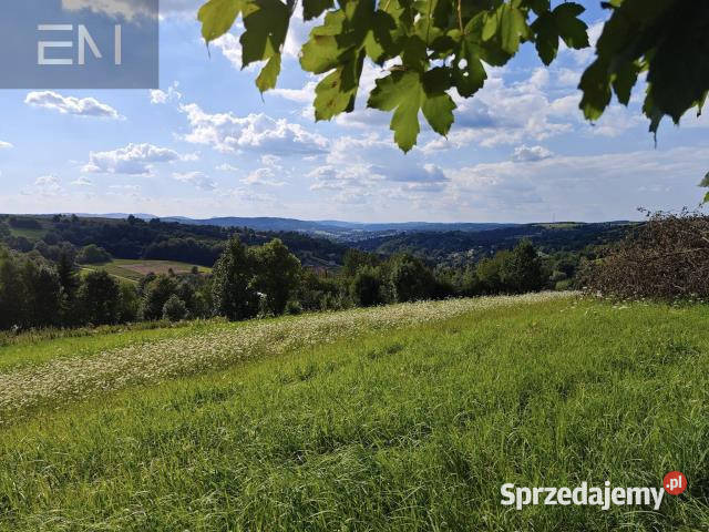 Grunt 2262m2 Golcowa sprzedam