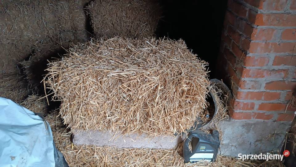 Słoma kostki Kutno