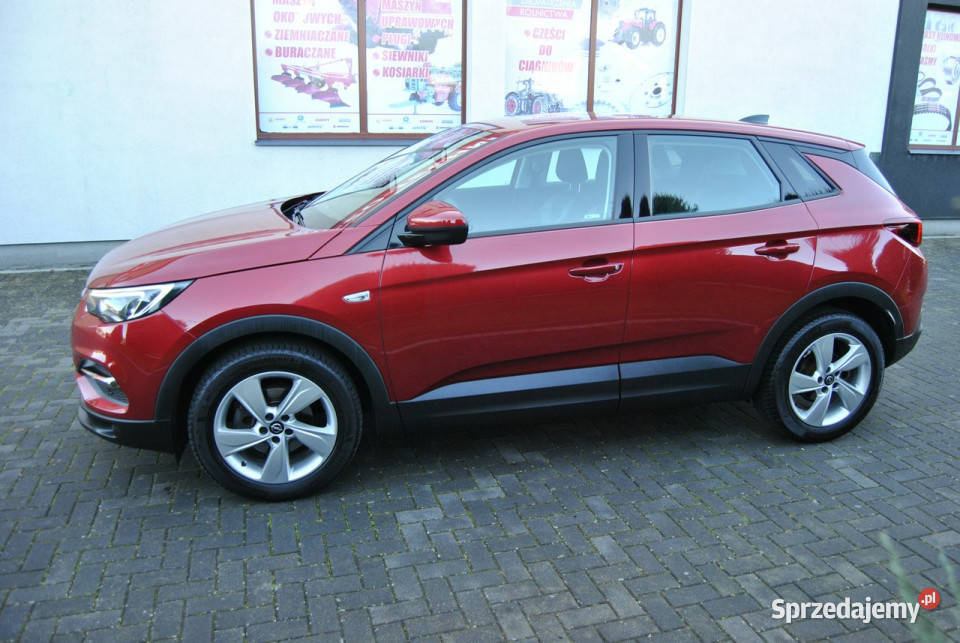 Opel Grandland X Rejestracja ASO Android Auto Grandland X Modliborzyce