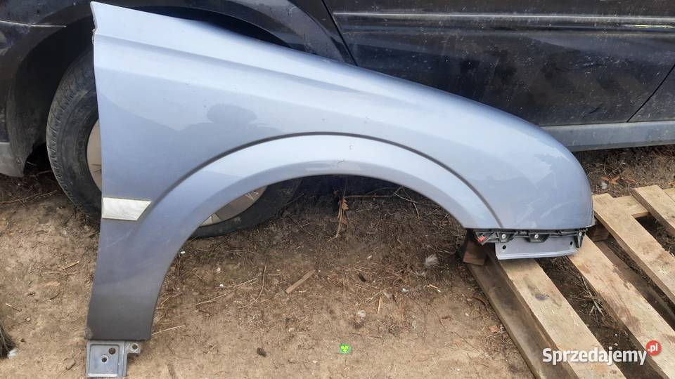 Błotnik przedni lewy prawy z163 opel vectra c dolnośląskie Dębno sprzedam