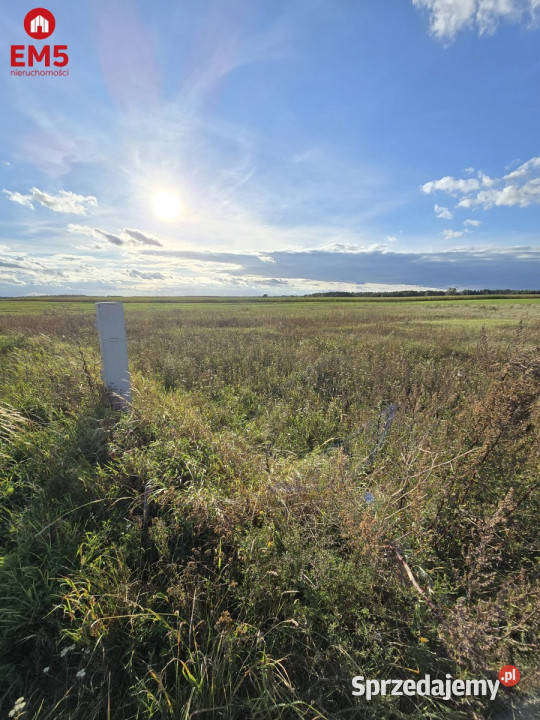 Grunt 1700m2 Pajewo kanalizacja