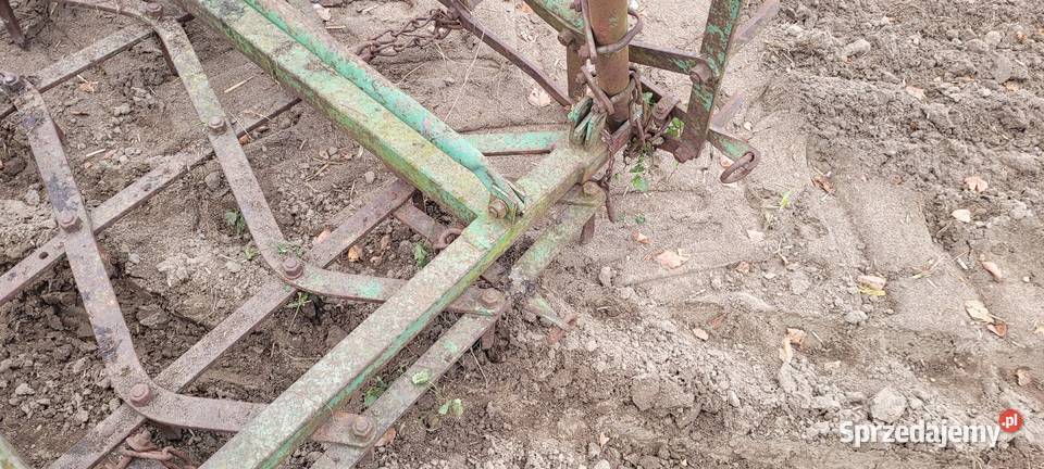 Brony 3 polowe Słupca sprzedam