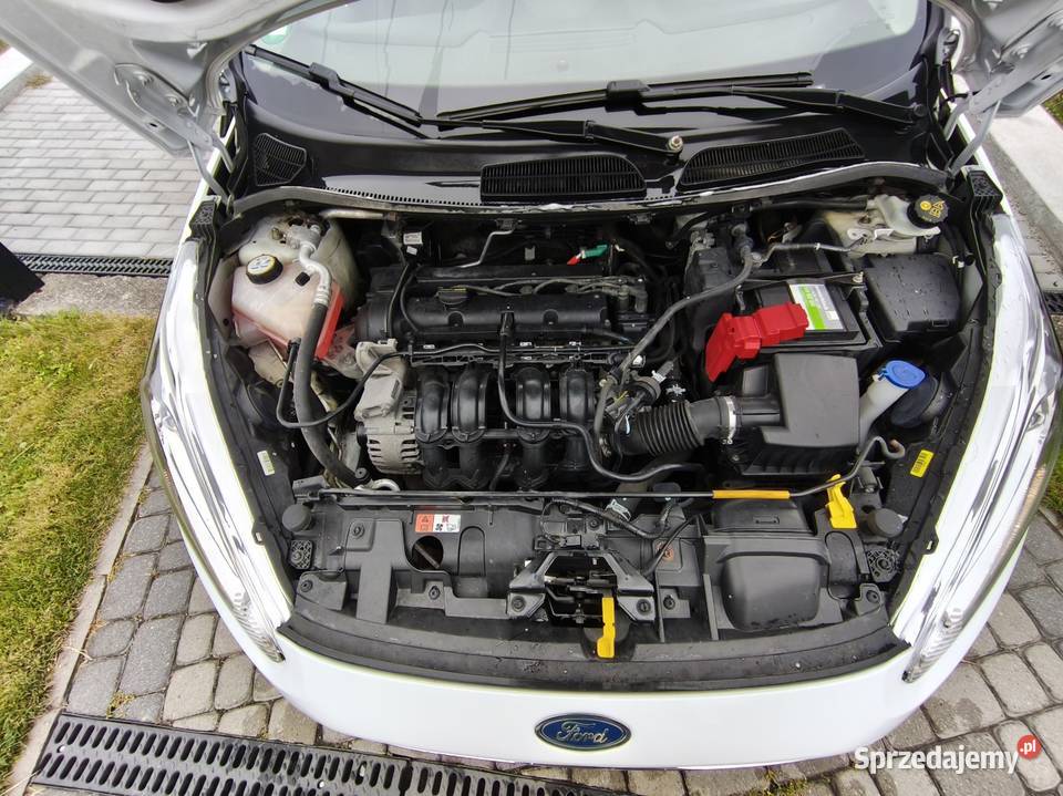 Zarejestrowana opłacona elektryczne lusterka Fiesta Drogomyśl
